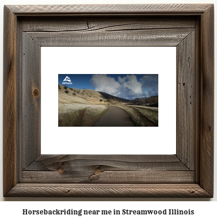 horseback riding near me in Streamwood, Illinois